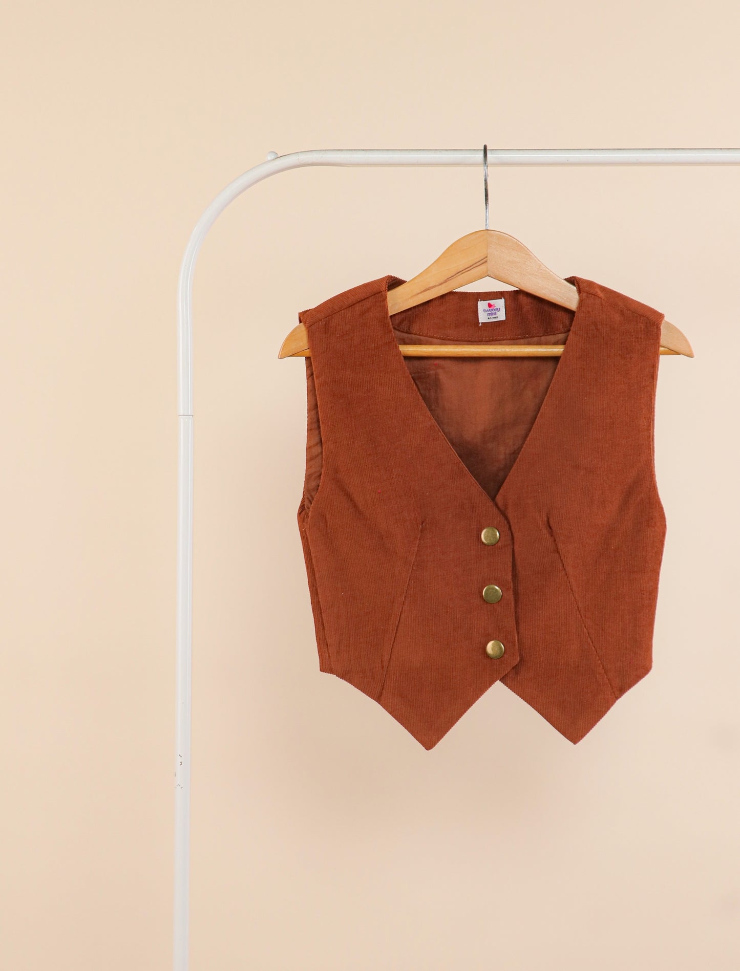 Brown suede vest on a hanger against a beige background