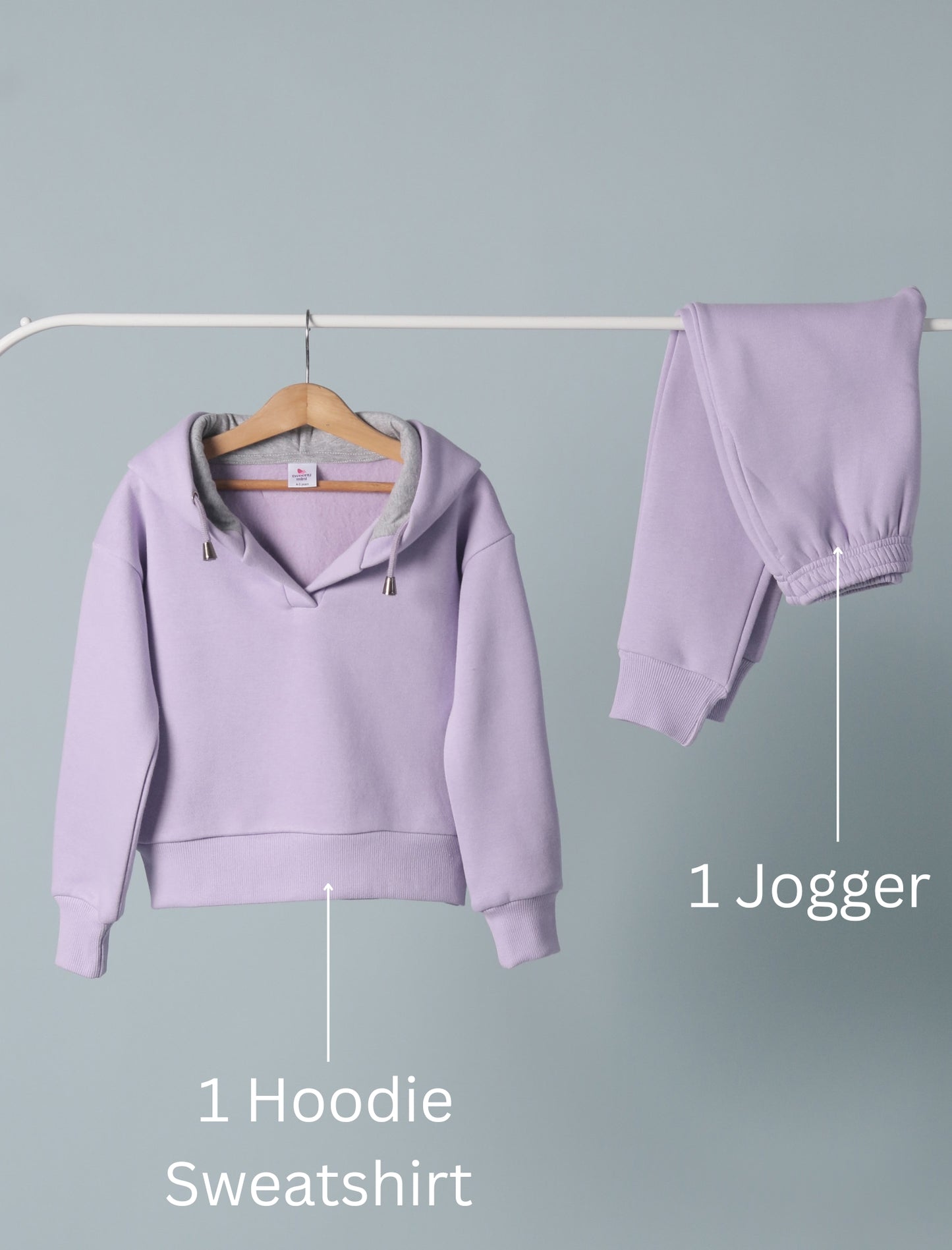 Purple hoodie sweatshirt and jogger pants on a gray background with labels.